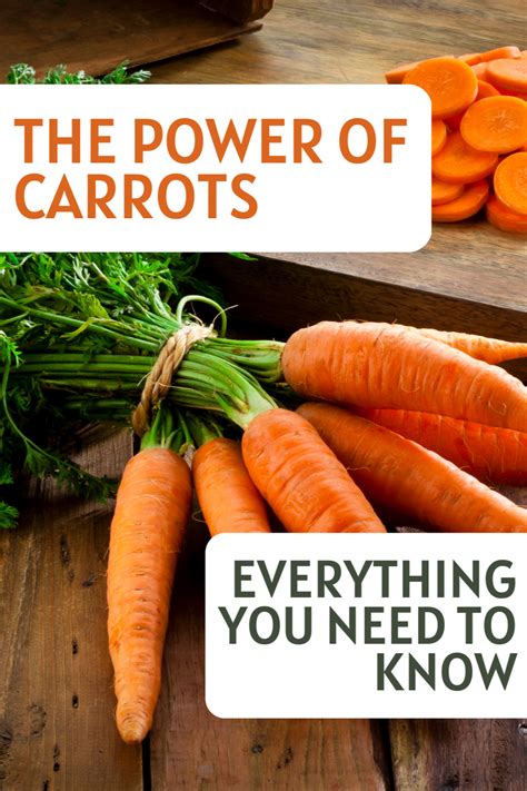 24 Carrot Magic: A Closer Look at its Nutritional Profile